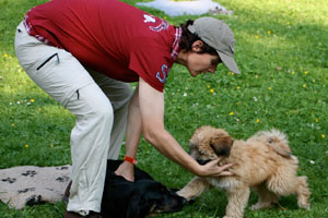Die Hundetrainerin Alex Angrick  beschützt einen Welpen in der Welpenschule