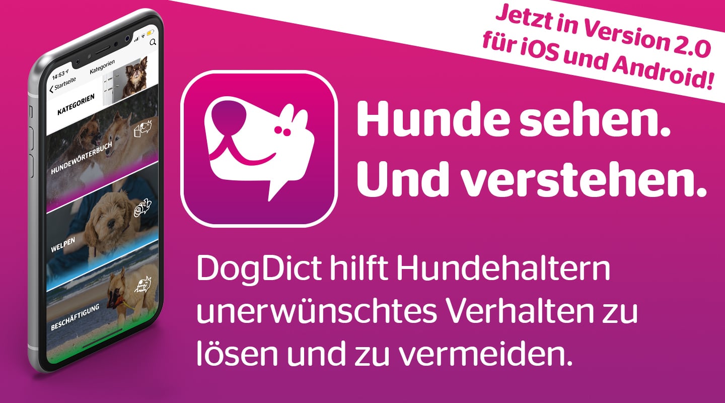 DogDict, App, iOS, Android, Hunde sehen und verstehen