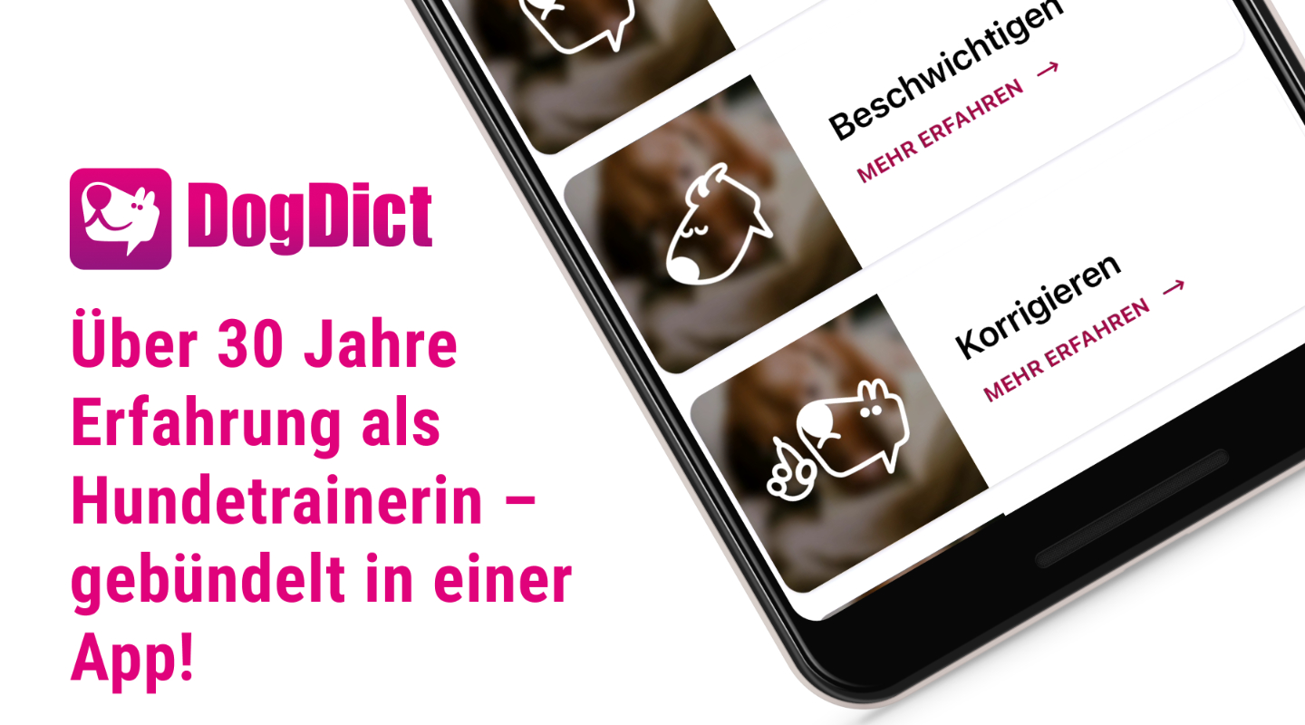 DogDict, App, iOS, Android, Hunde sehen und verstehen