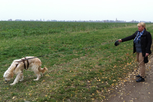 Hund mit Flexi-Leine