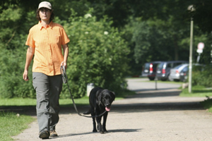 Anleinpflicht für Hunde