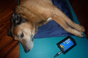 Magnetfeldtherapie