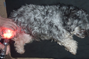 Lichttherapie bei Arthrose