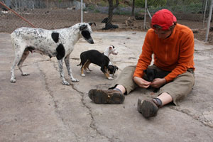 Hundetrainerin Alex Angrick hilft in der Auffangstation La Palma
