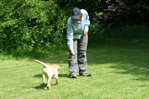 Hundetrainerin Alexandra Angrick beim Welpen abrufen