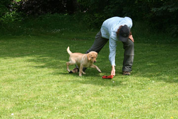 Spiel Mensch und Hund