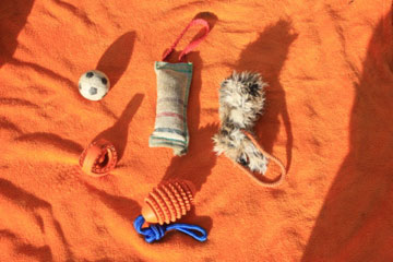 Spielzeug Hund