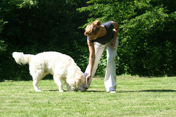 Suchspiel Mensch und Hund