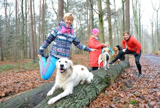 in den Wald mit viel spass Hundesport
