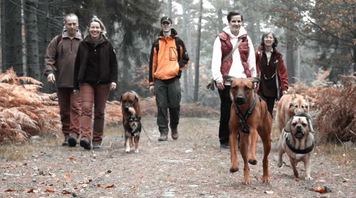 Abb. Kurse - Hundewanderung