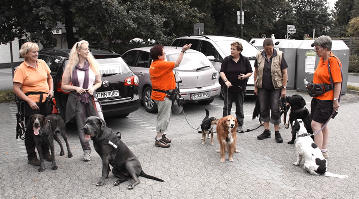 Abb. Kurs - Stadttraining