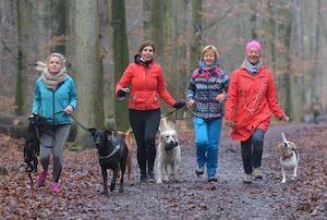 wir gehen gemeinsam Joggen spass mit dem Hund