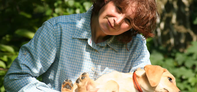 Spass und Spiel während der Hundebetreuung