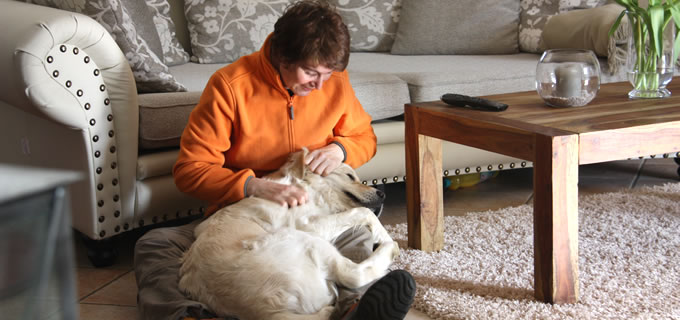 Hunde- und Hausbetreuung