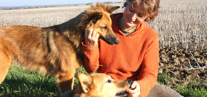 Training während der Hundebetreuung
