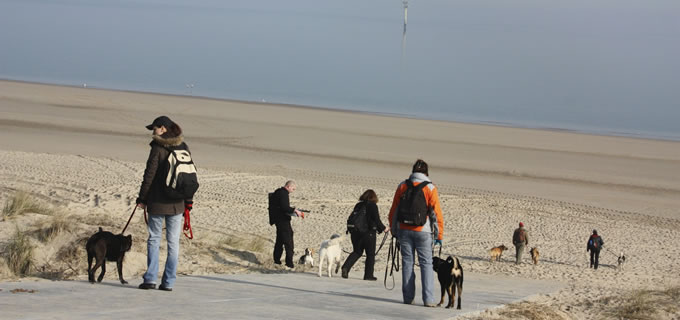 Liebevolle Hundebetreuung mit vielen Streicheleinheiten