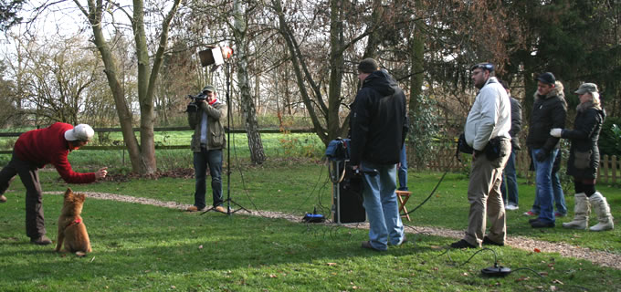 Videoaufnahmen beim Hundetraining