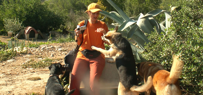 Hundebeobachtung auf La Palma
